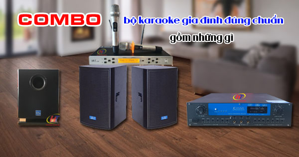 Combo bộ karaoke gia đình đúng chuẩn
