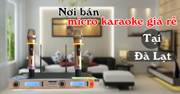 micro karaoke không dây giá rẻ tại Đà Lạt